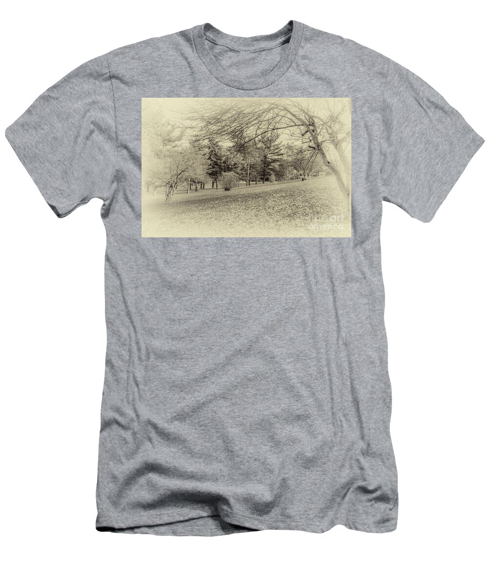 Autumn T-Shirt featuring the photograph Autumn in the Glen by William Norton