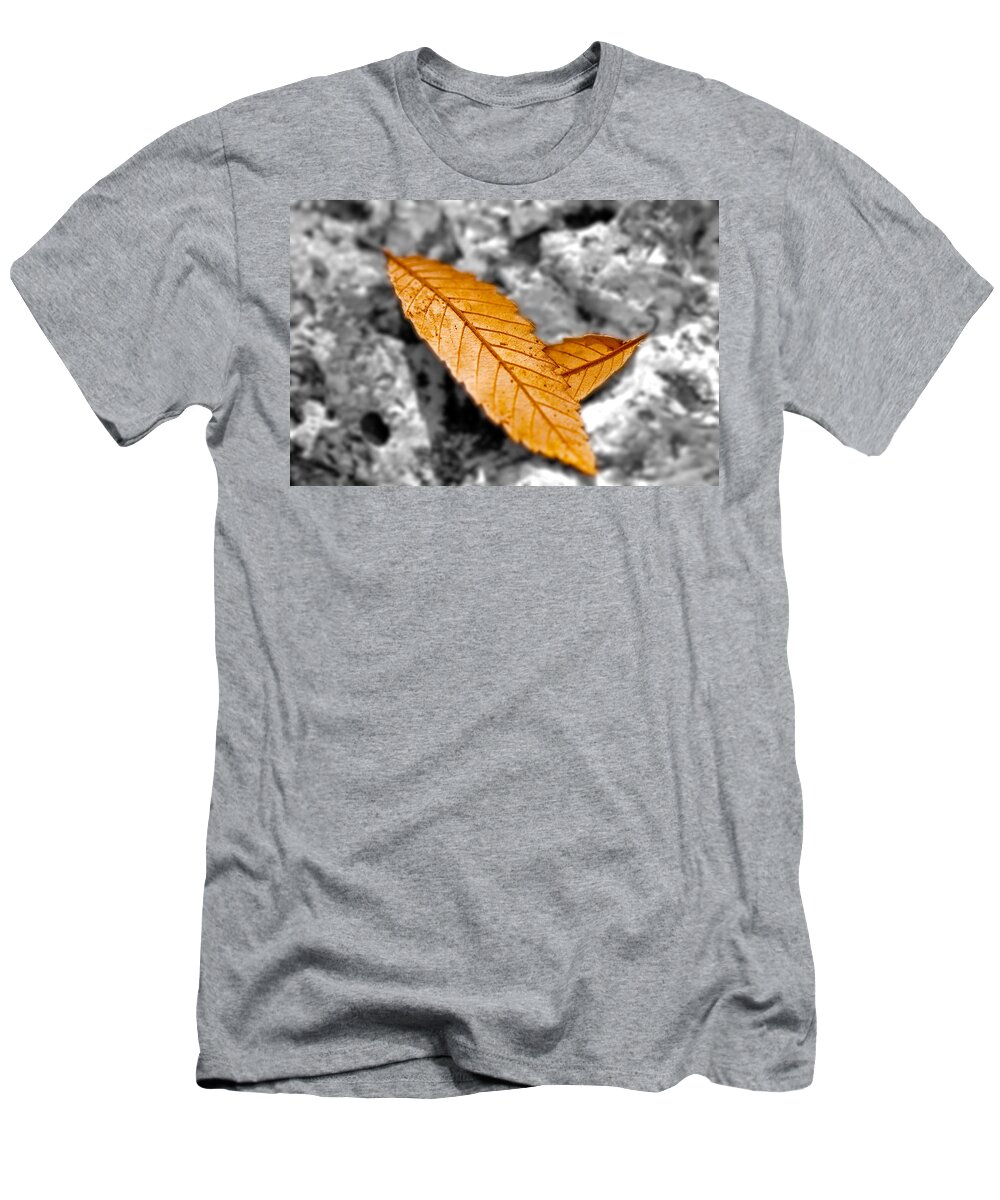 Autumn T-Shirt featuring the photograph Autumn Leaves by Carole Lloyd