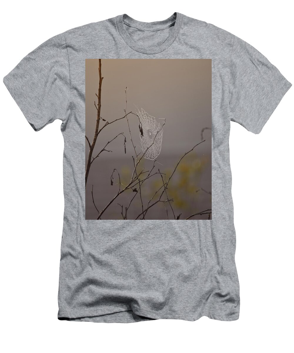 Spider Web T-Shirt featuring the photograph Autumns Web by Sue Capuano