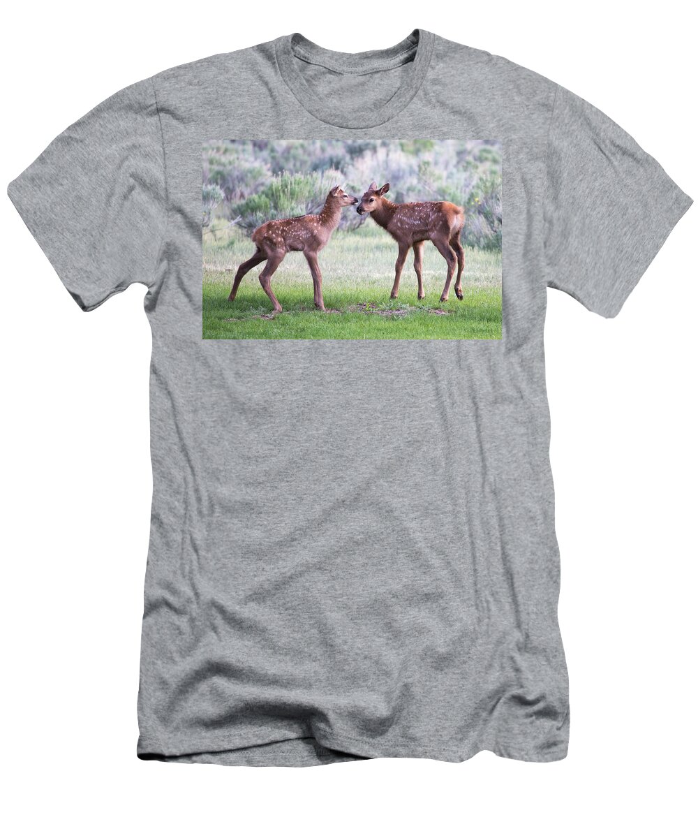Elk T-Shirt featuring the photograph Baby Elk by Wesley Aston