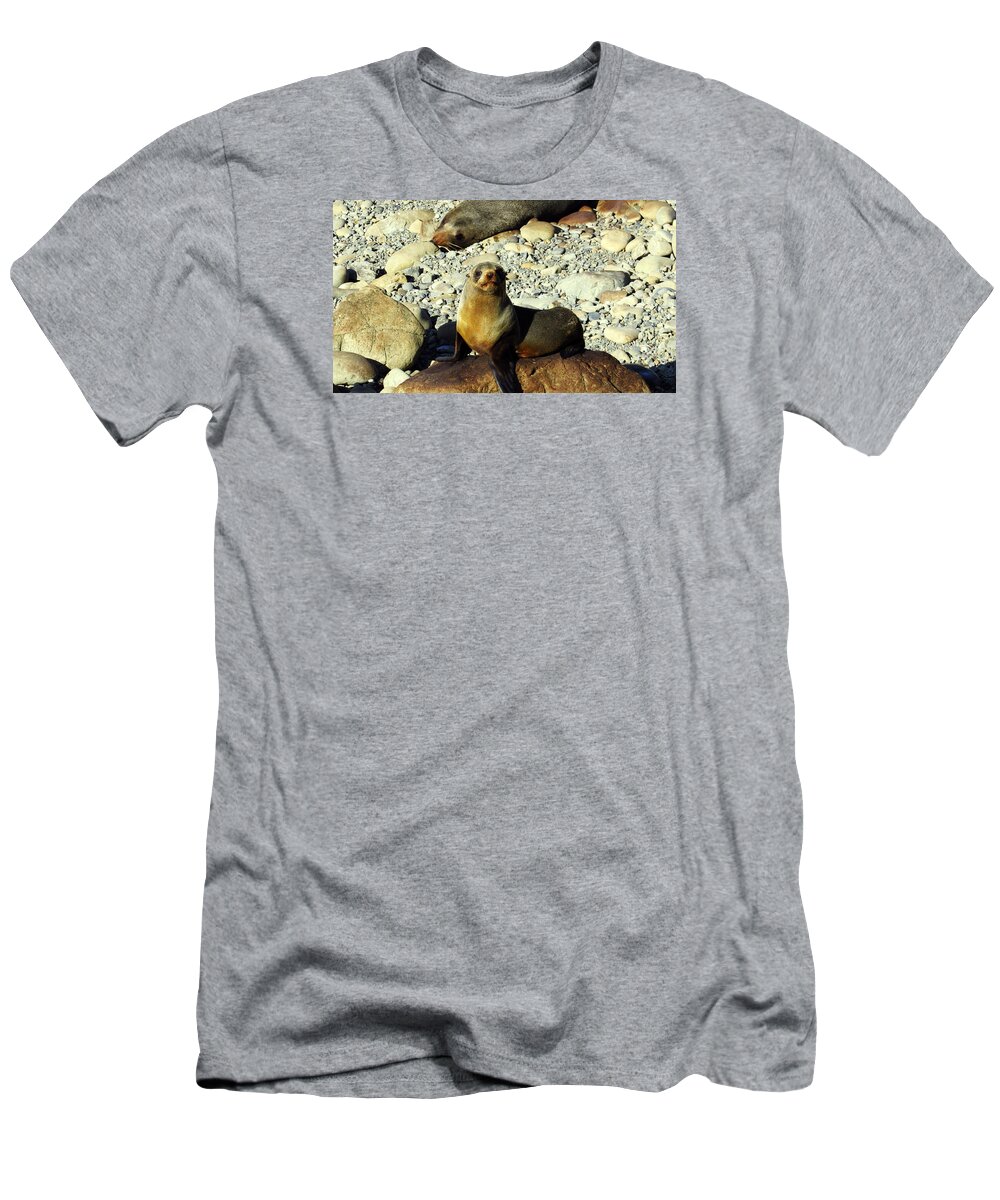 Baby Seal T-Shirt featuring the photograph Baby Seal by Fabian Andre