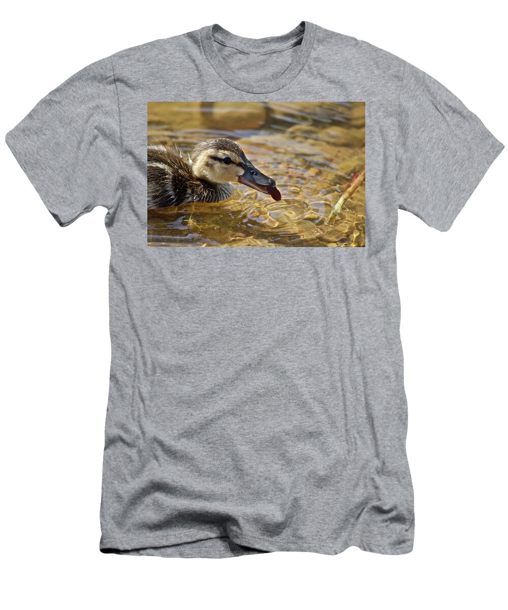 Birds T-Shirt featuring the photograph Baby Teal by Diana Hatcher