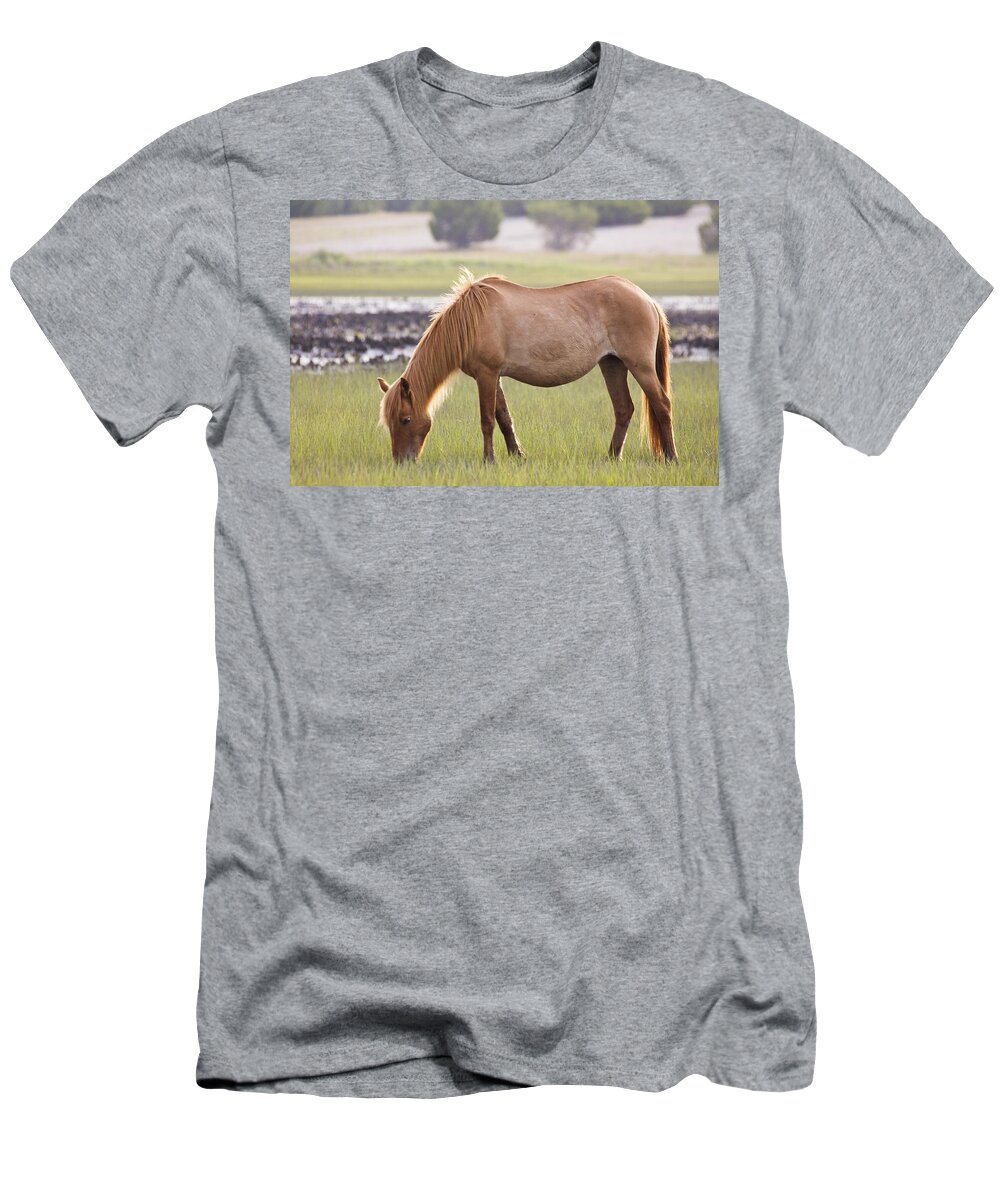 Wild T-Shirt featuring the photograph Back-lit Wild Horse by Bob Decker