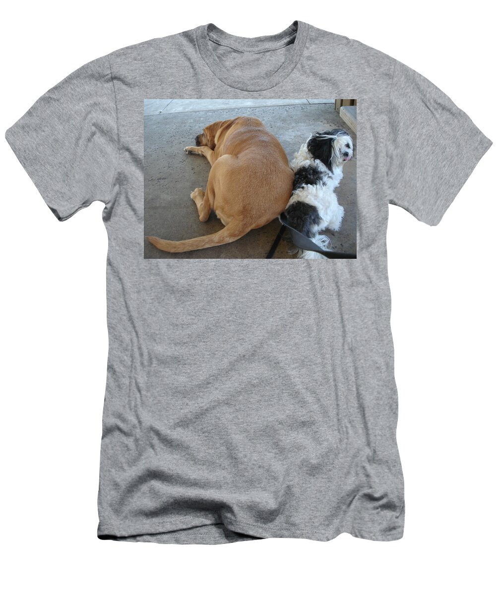 Bloodhound T-Shirt featuring the photograph Back to Back by Val Oconnor