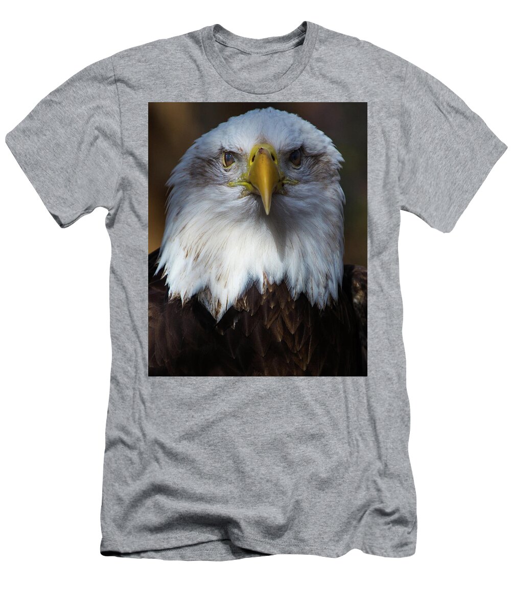 Zoo T-Shirt featuring the photograph Bald eagle head by MyWildlifeLife Dot Com