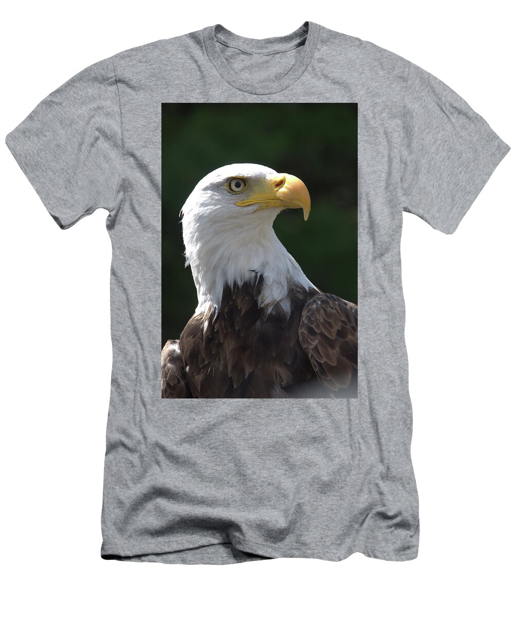 Bald Eagle T-Shirt featuring the photograph Bald Eagle by Valerie Kirkwood