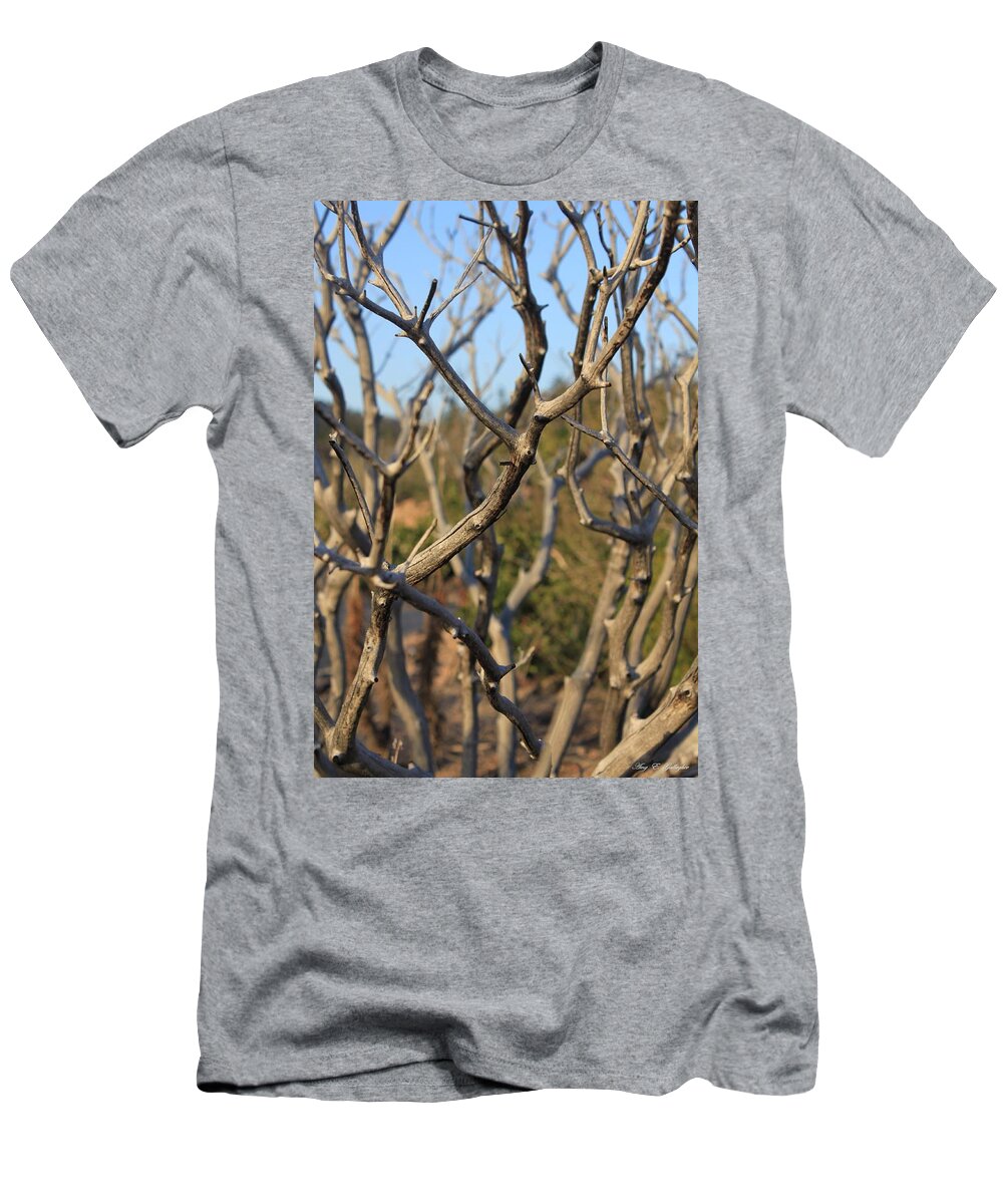 Branches T-Shirt featuring the photograph Bare the Beauty by Amy Gallagher