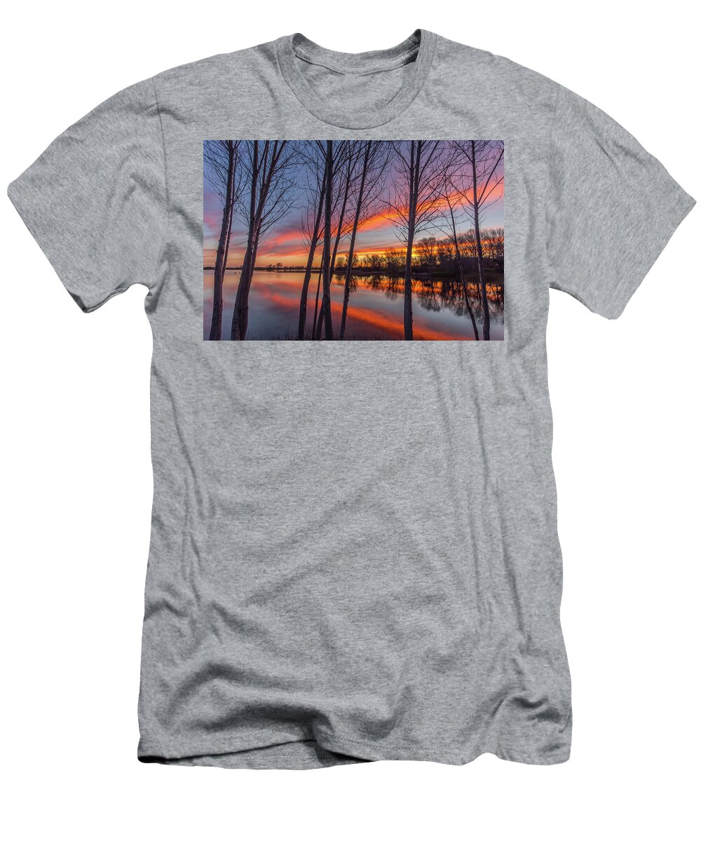 Landscape T-Shirt featuring the photograph Bare Trees at Sunrise by Marc Crumpler