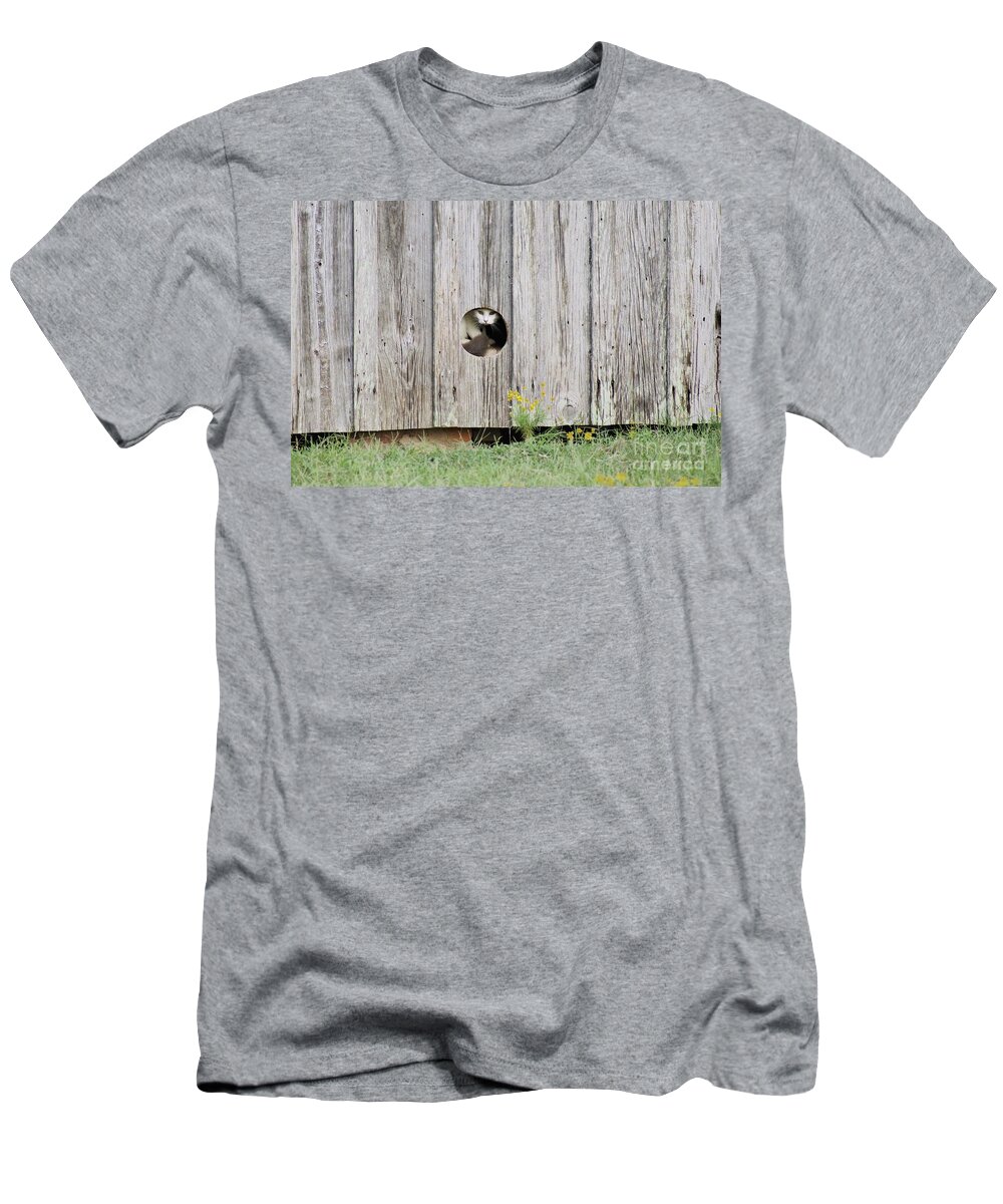 Barn T-Shirt featuring the photograph Barn Kitty by Benanne Stiens
