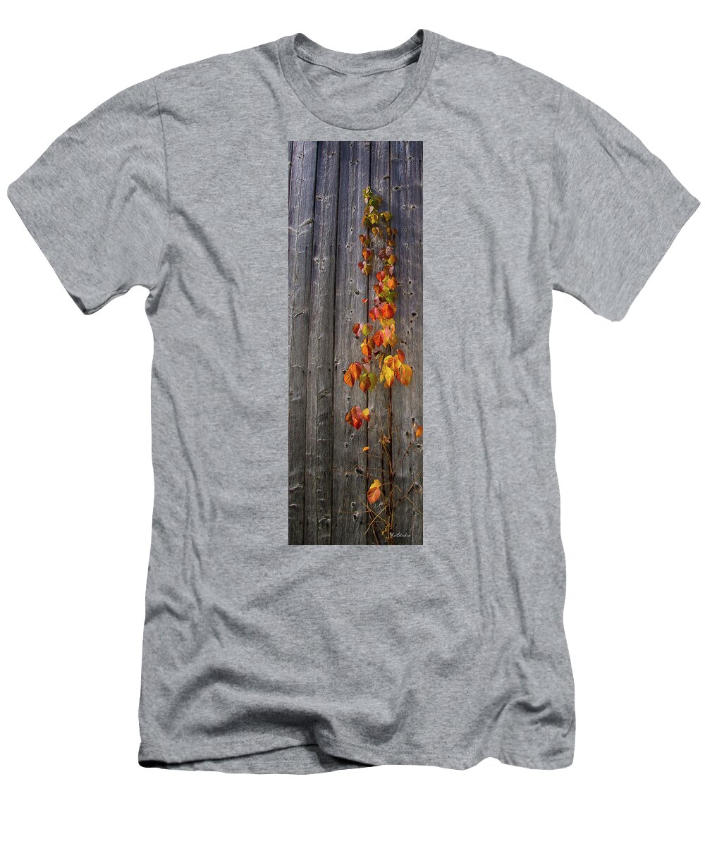 Vermont T-Shirt featuring the photograph Barnyard Vine by Tim Kathka