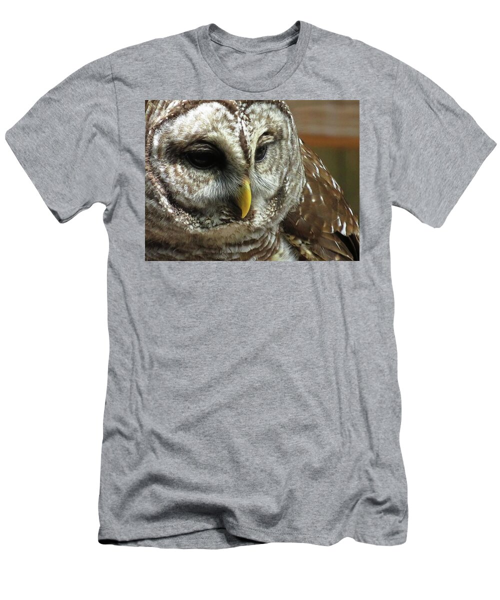 Owl T-Shirt featuring the photograph Barred Owl by Jennifer Wheatley Wolf
