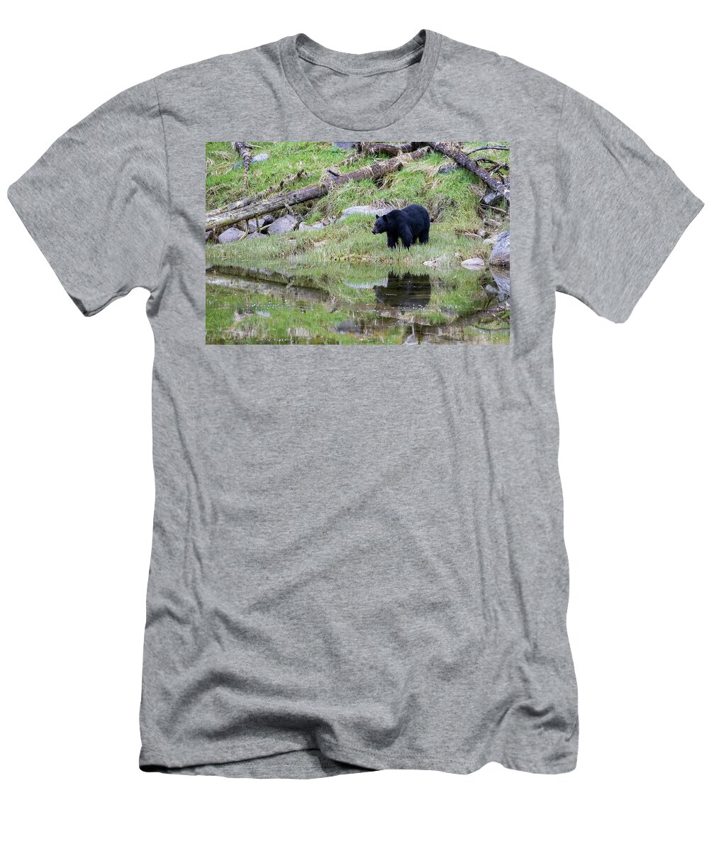 Ronnie Maum T-Shirt featuring the photograph Bear Reflection 4x6 by Ronnie Maum
