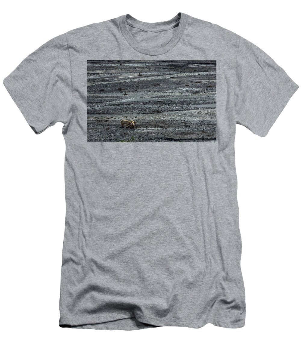 Grizzly Bear T-Shirt featuring the photograph Bears In Denali by Randall Evans