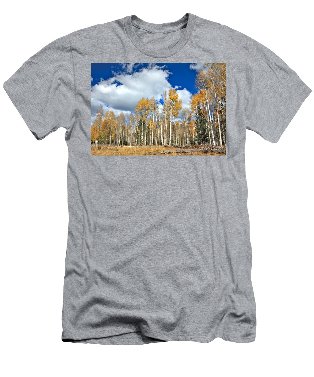 Autumn T-Shirt featuring the photograph Beautiful Aspen Grove by Robert Bales