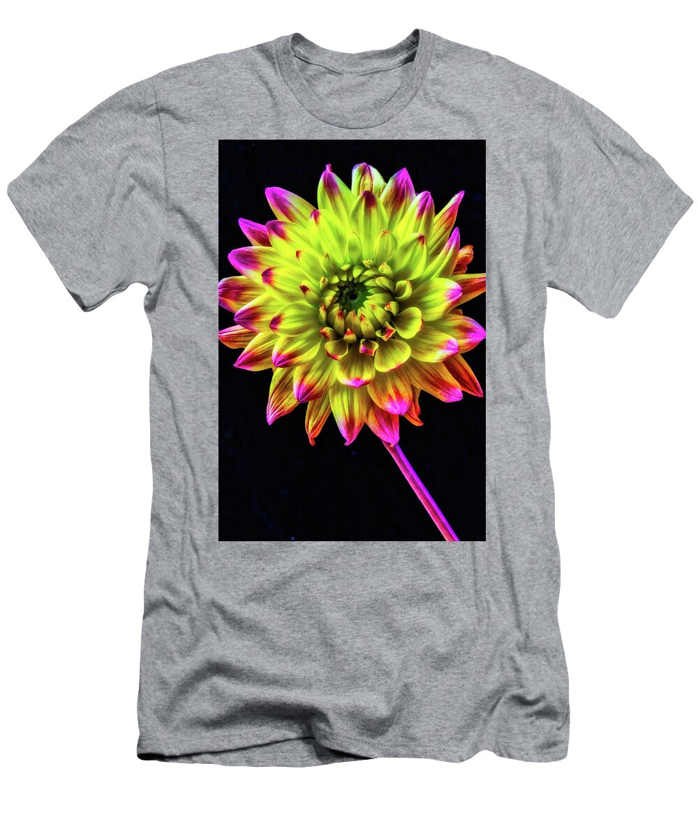 Color T-Shirt featuring the photograph Beautiful Graphic Dahlia by Garry Gay
