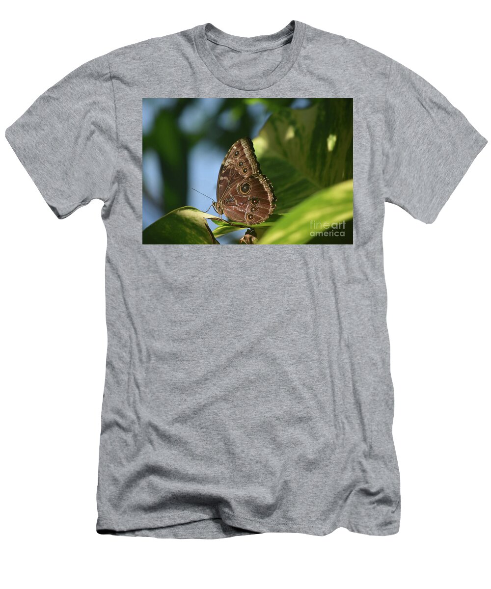 Blue-morpho T-Shirt featuring the photograph Beautiful Owl Butterfly With Wings Closed on a Plant by DejaVu Designs