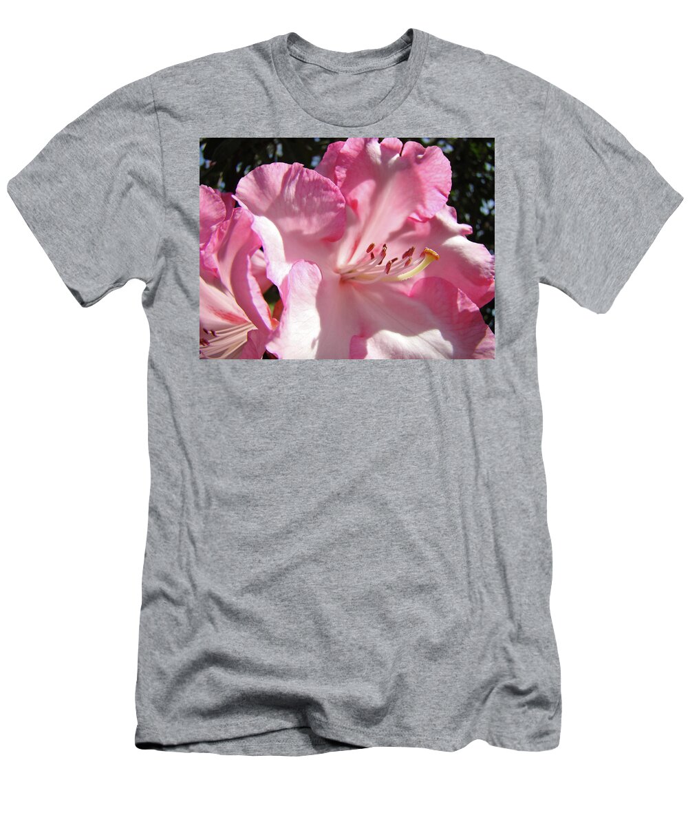Rhodies T-Shirt featuring the photograph Beautiful Pastel Pink Rhododendron Flowers Baslee Troutman by Patti Baslee