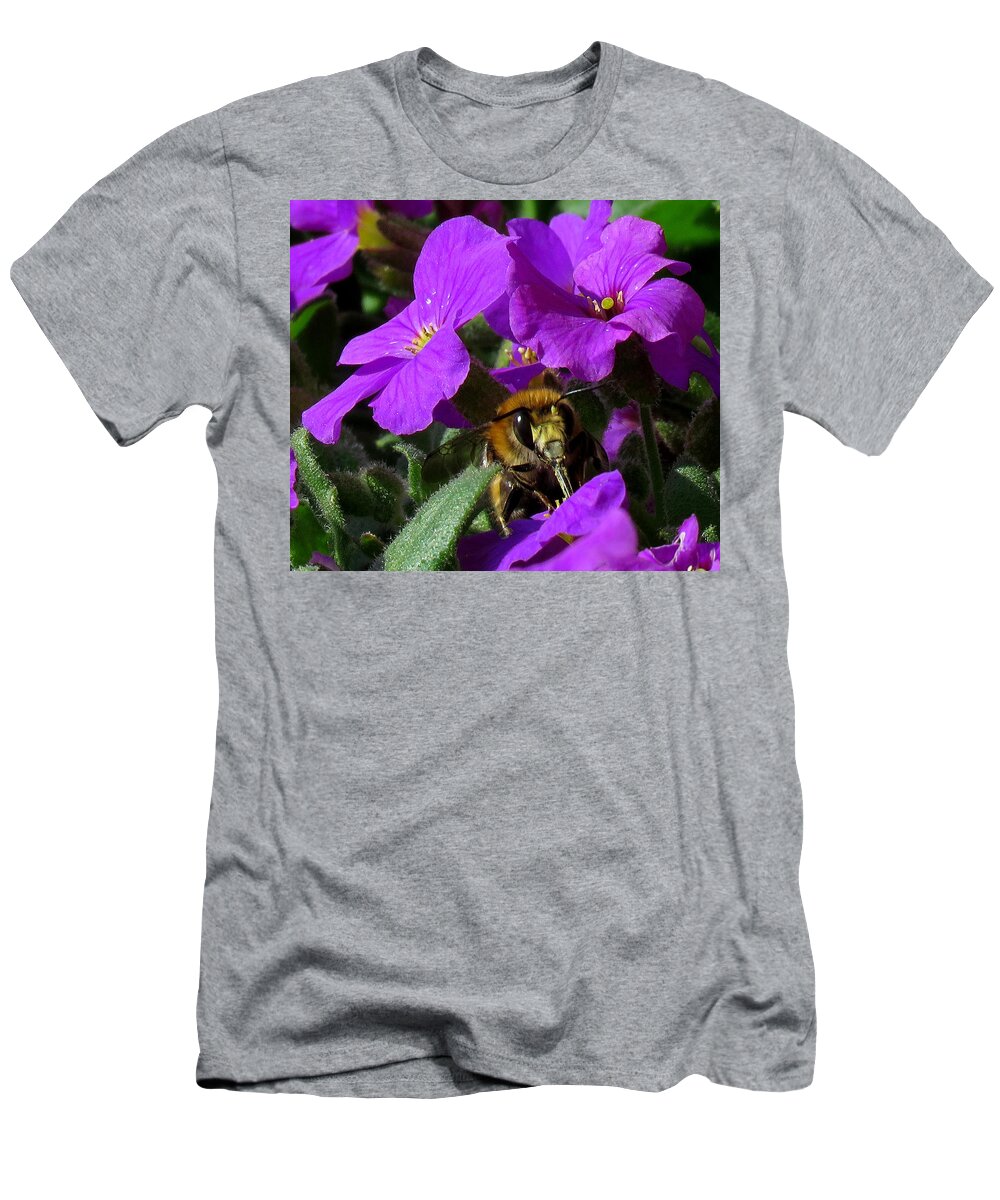 Bee T-Shirt featuring the photograph Bee Feeding on Purple Flower by John Topman