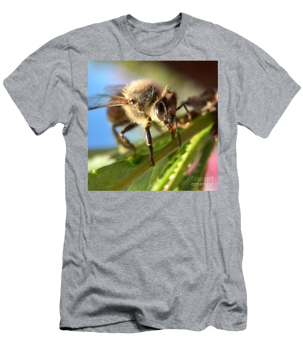 Bee T-Shirt featuring the photograph Spring Bee by Masha Batkova