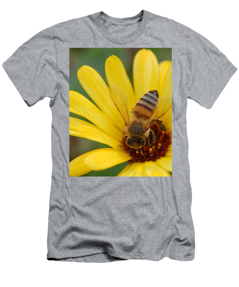 Bee T-Shirt featuring the photograph Bee on flower by Amy Fose