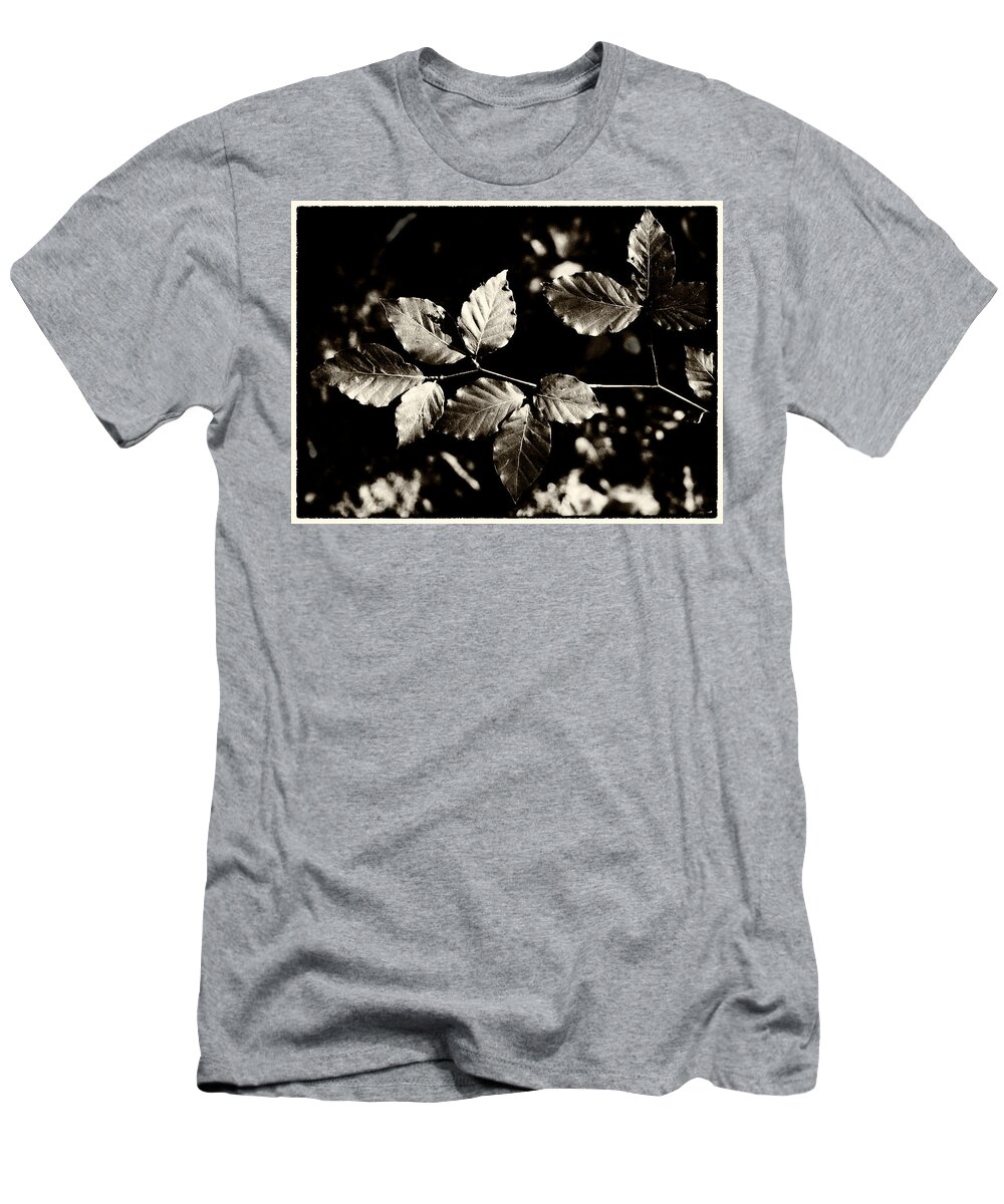 Leaves T-Shirt featuring the photograph Beech Leaves by Mark Egerton