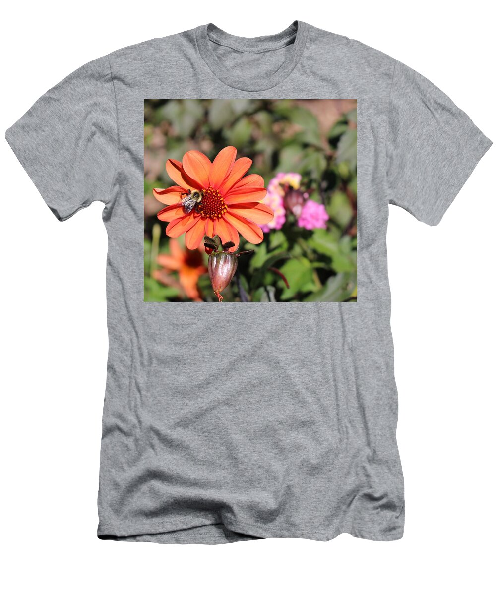 Bee T-Shirt featuring the photograph Bees-y Day by Jason Nicholas