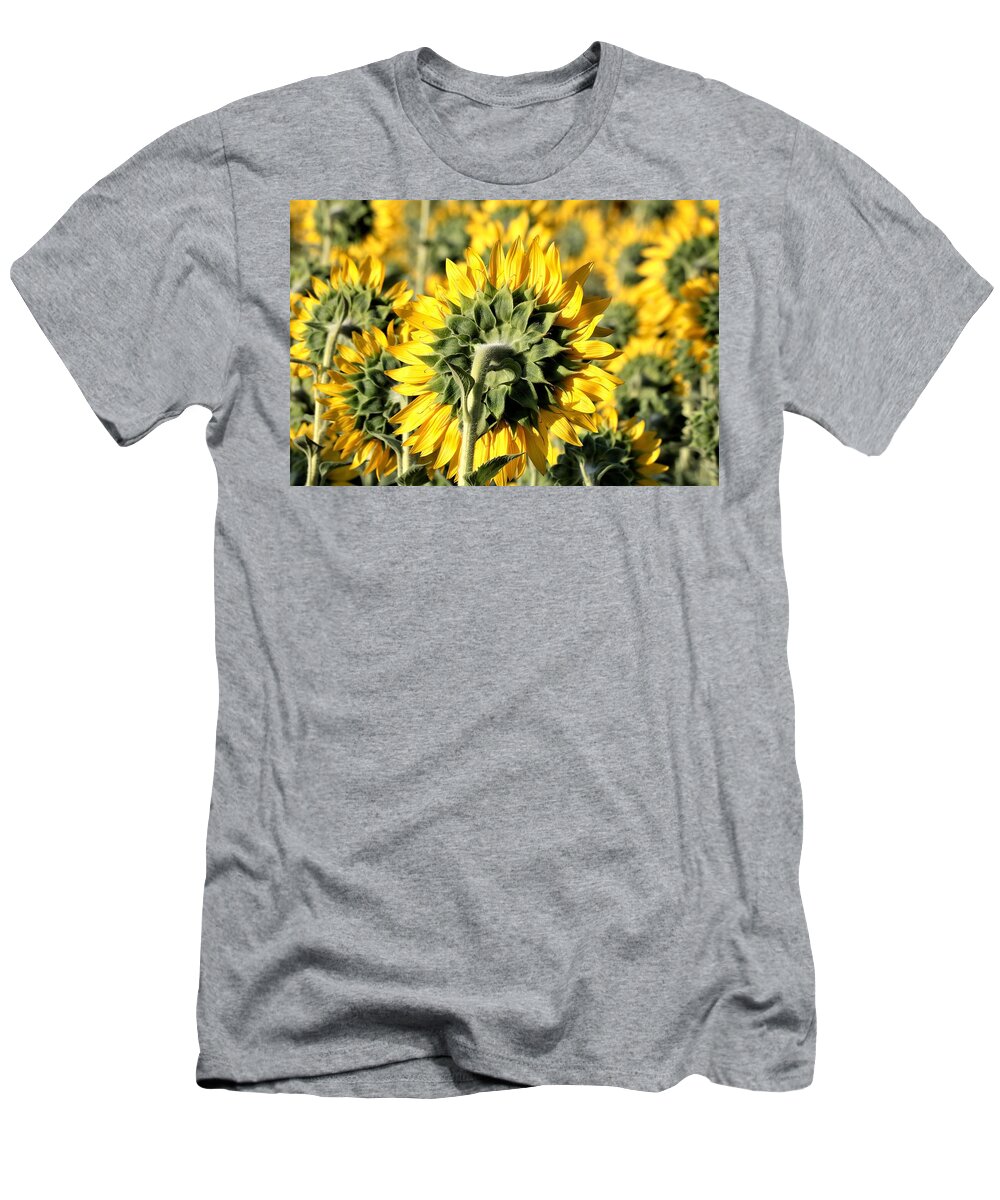 Nature T-Shirt featuring the photograph Behind a Sunflower Field by Sheila Brown