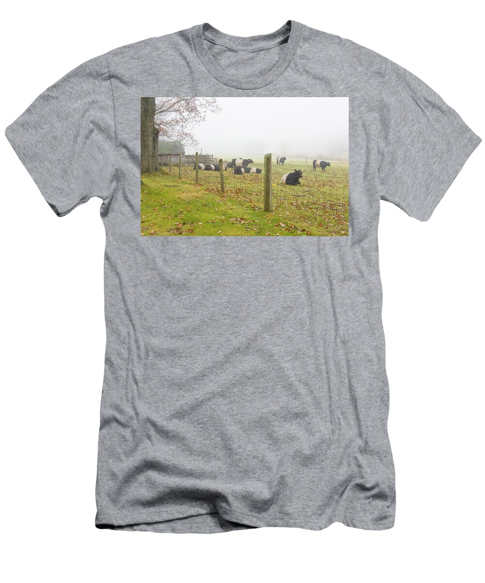 Cow T-Shirt featuring the photograph Belted Galloway Cows Farm Rockport Maine Photograph by Keith Webber Jr