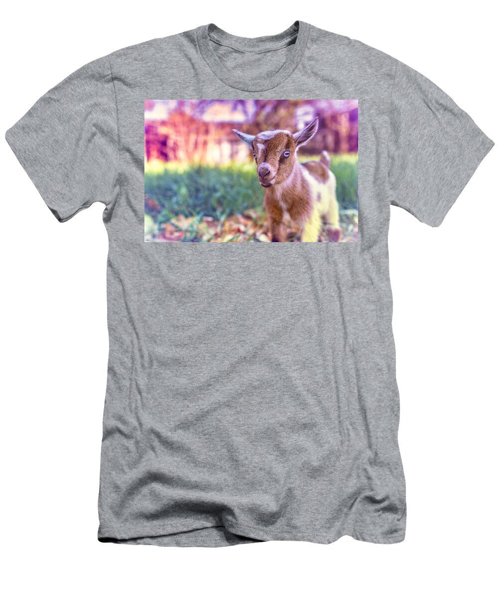 Goat T-Shirt featuring the photograph Bert by TC Morgan