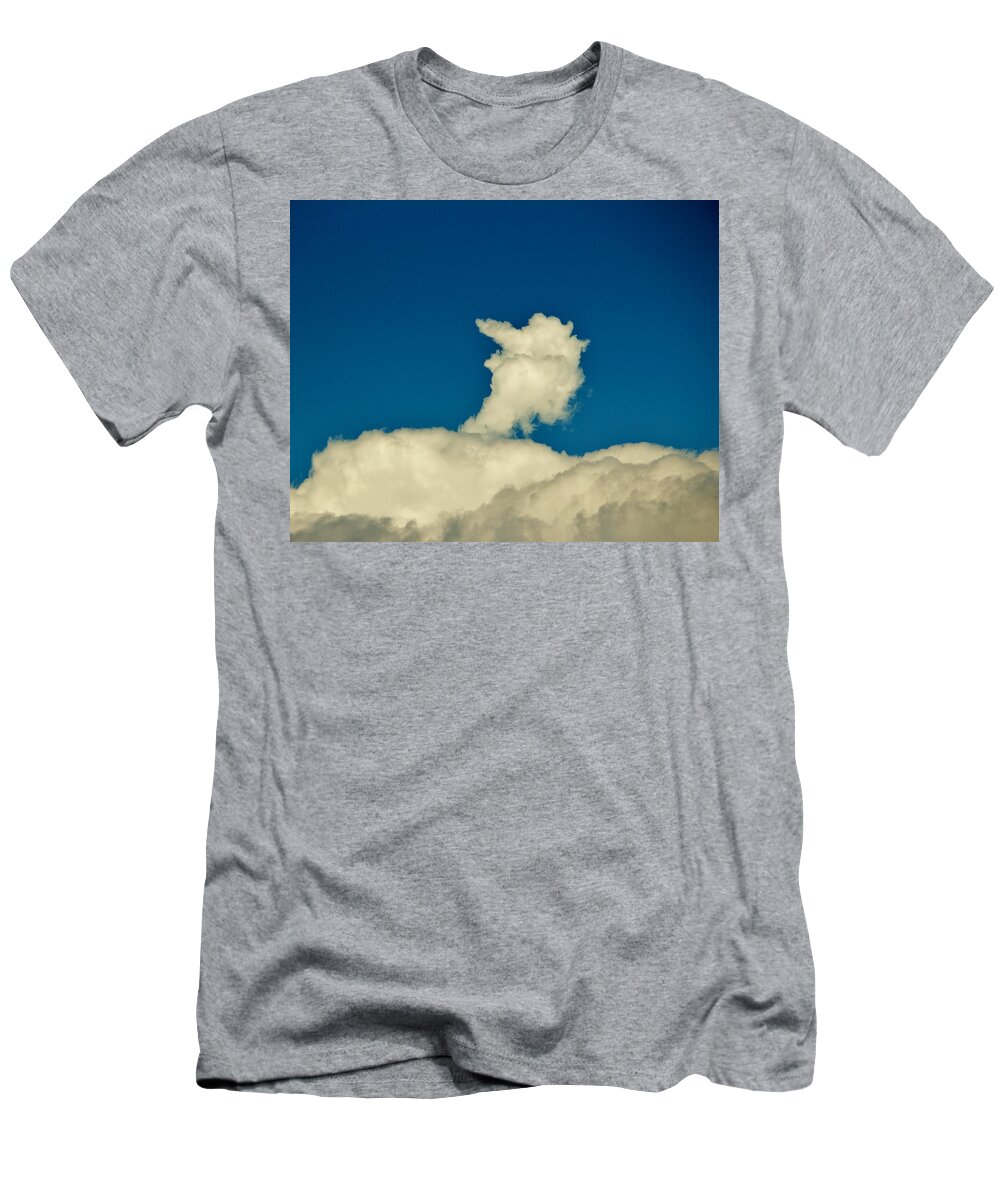 World Famous Bird T-Shirt featuring the photograph Big Bird Cloud by Cynthia Guinn