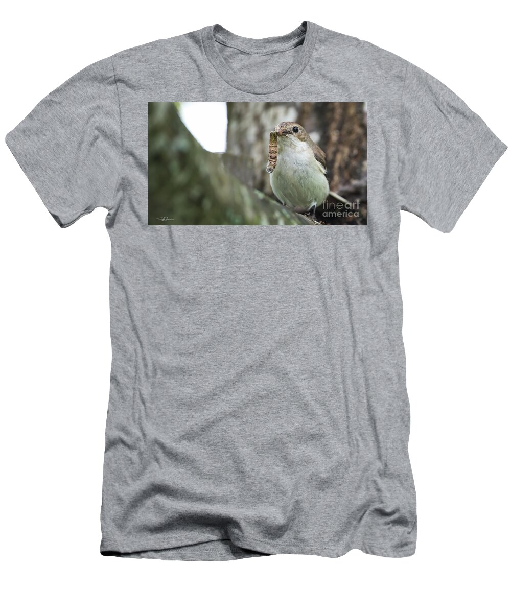 Pied Flycatcher T-Shirt featuring the photograph Big Meal by Torbjorn Swenelius