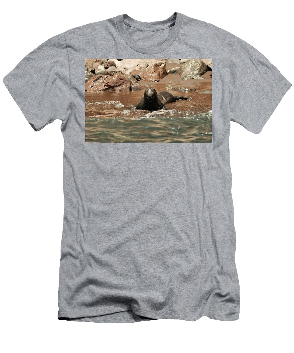 Seals T-Shirt featuring the photograph Big Smile by David Shuler