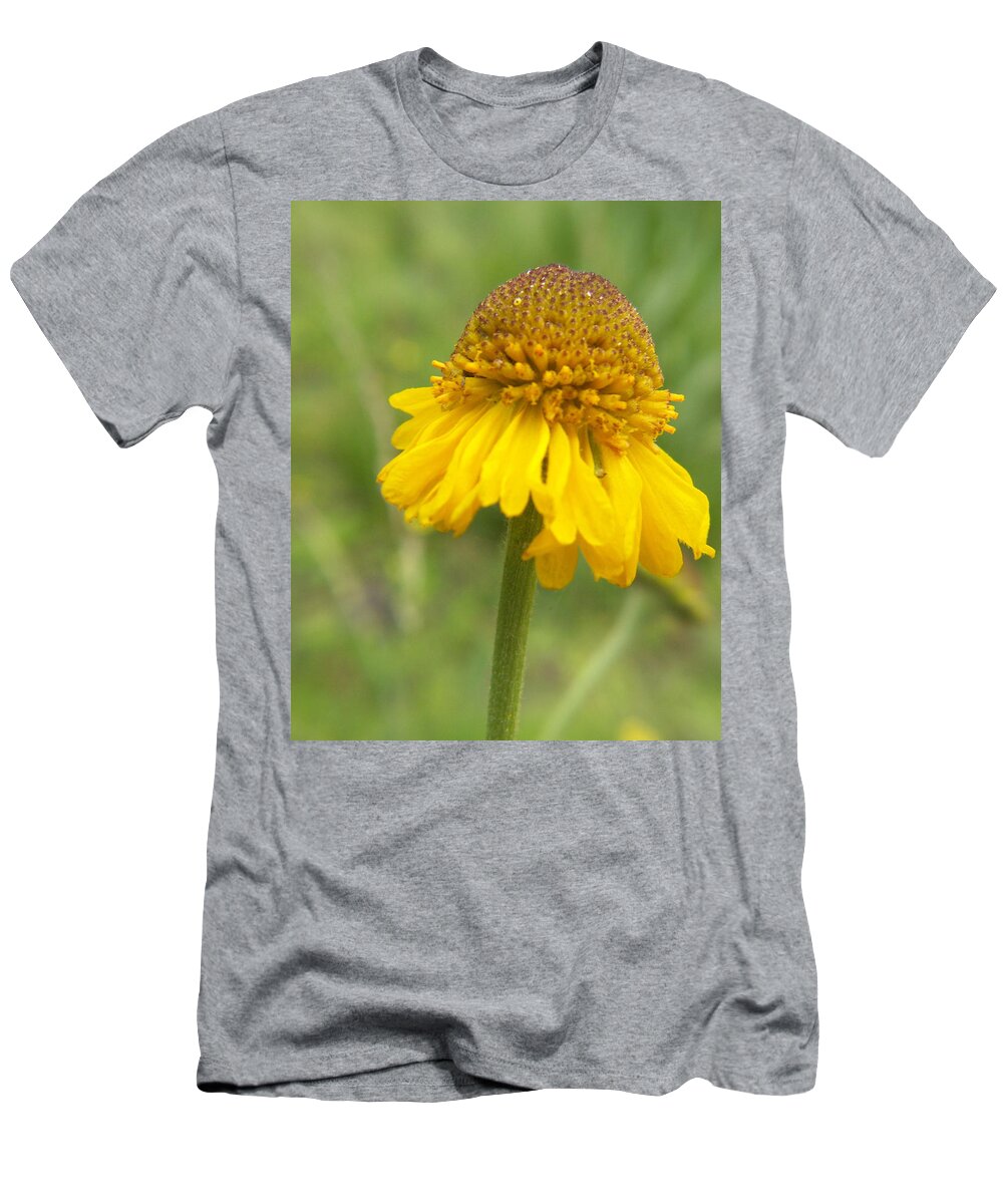 Flower T-Shirt featuring the photograph Bigelow by Amy Fose