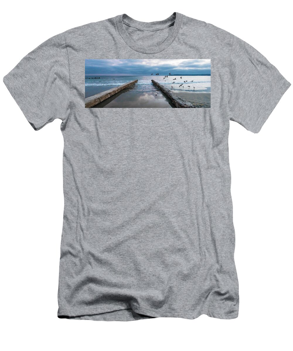 Coronado T-Shirt featuring the photograph Bird Flight by Dan McGeorge