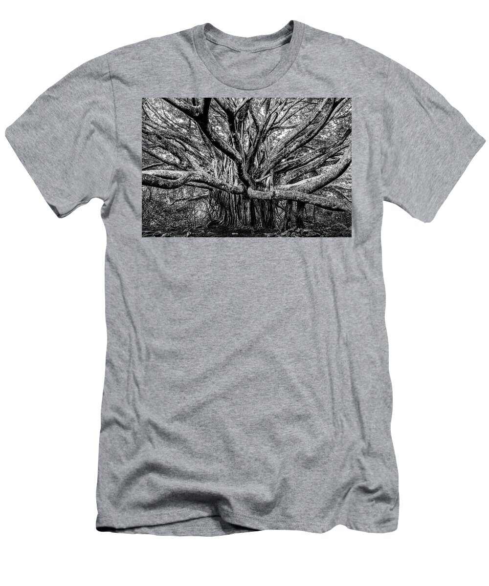 Banyan T-Shirt featuring the photograph Black and White Banyan by Kelley King