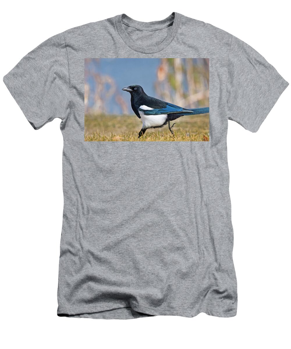 Black-billed Magpie T-Shirt featuring the photograph Black-billed Magpie by Mark Miller
