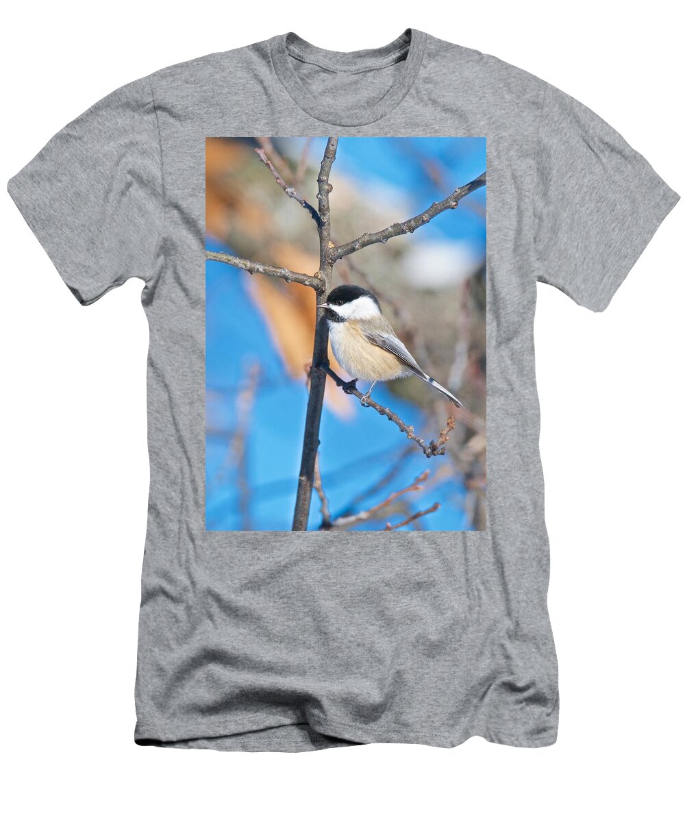 Tagspoecile T-Shirt featuring the photograph Black Capped Chickadee 1140 by Michael Peychich