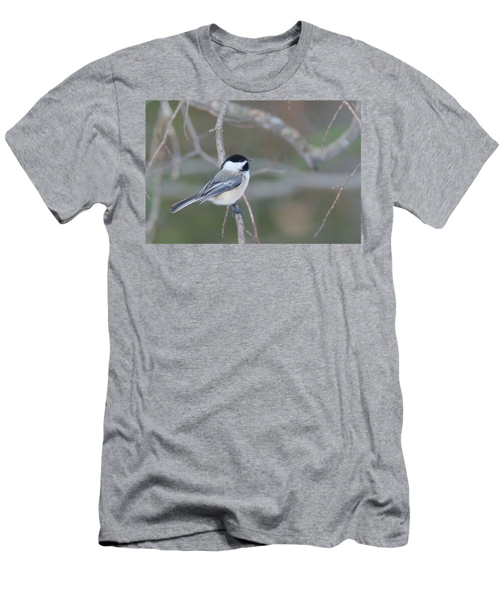 Bird T-Shirt featuring the photograph Black Capped Chickadee 1379 by Michael Peychich