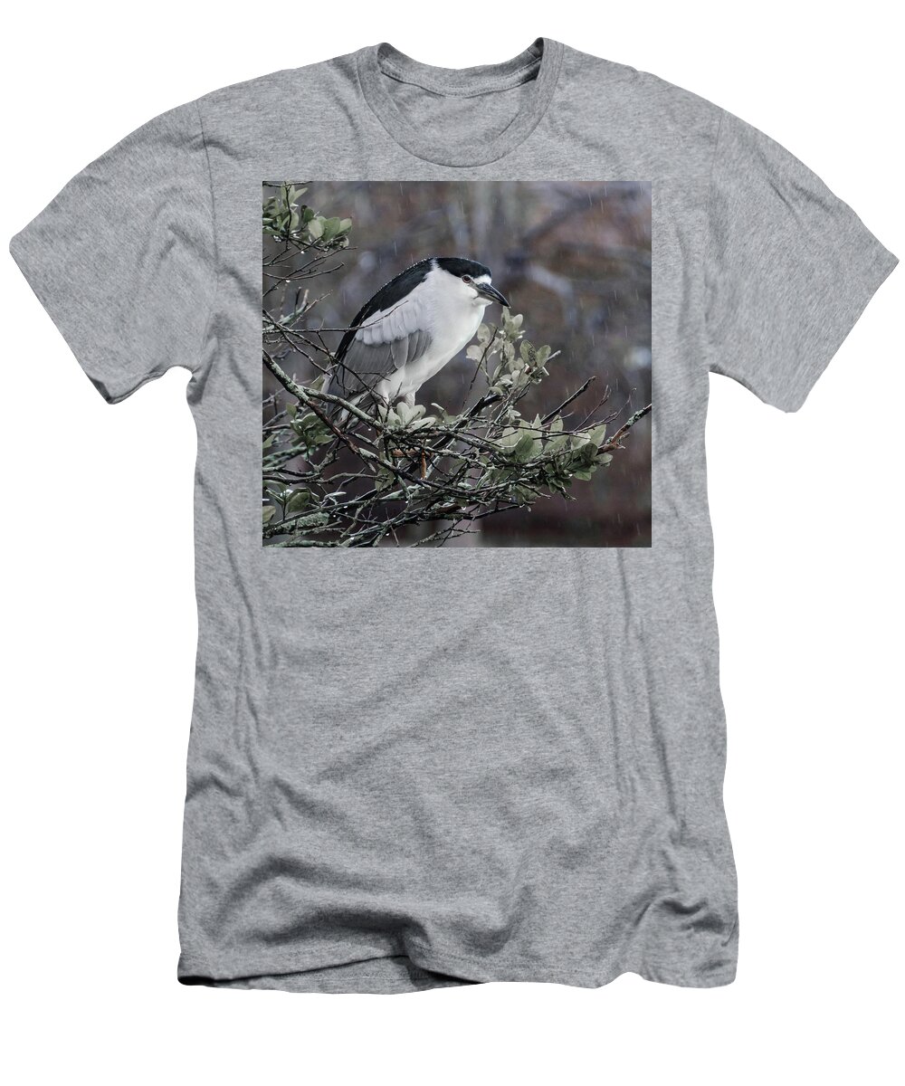 Black-crowned Night-heron T-Shirt featuring the photograph Black-crowned Night-Heron by Jaime Mercado