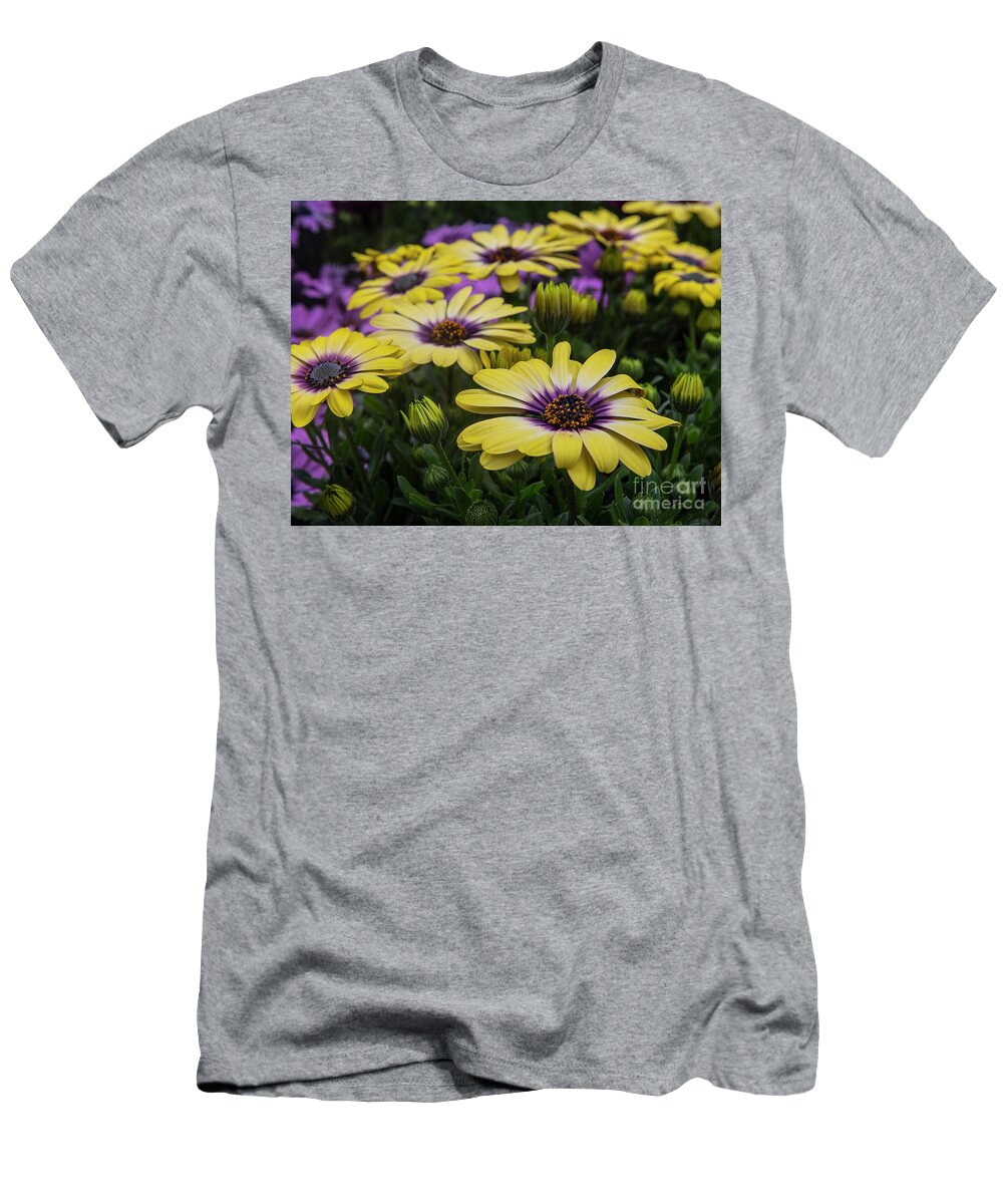 Black Eyed Susan T-Shirt featuring the photograph Black Eyed Susan flowers-2215 by Steve Somerville