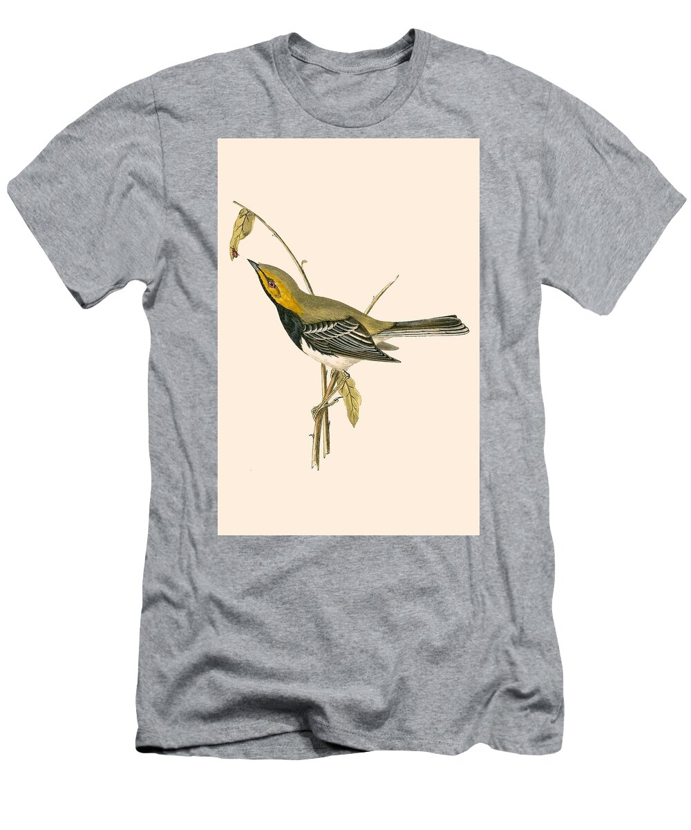 Warbler T-Shirt featuring the painting Black Throated Warbler by English School