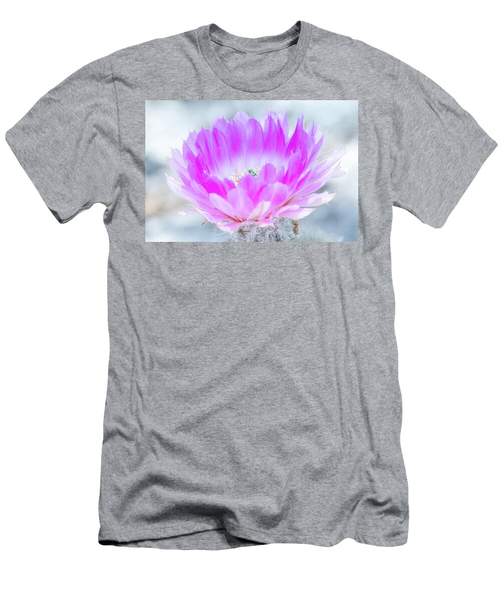 Debra Martz T-Shirt featuring the photograph Blooming Cactus by Debra Martz