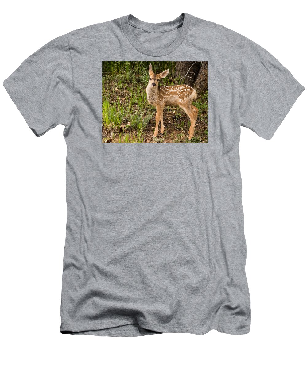 Mule Deer T-Shirt featuring the photograph Blowing a Big Raspberry by Mindy Musick King