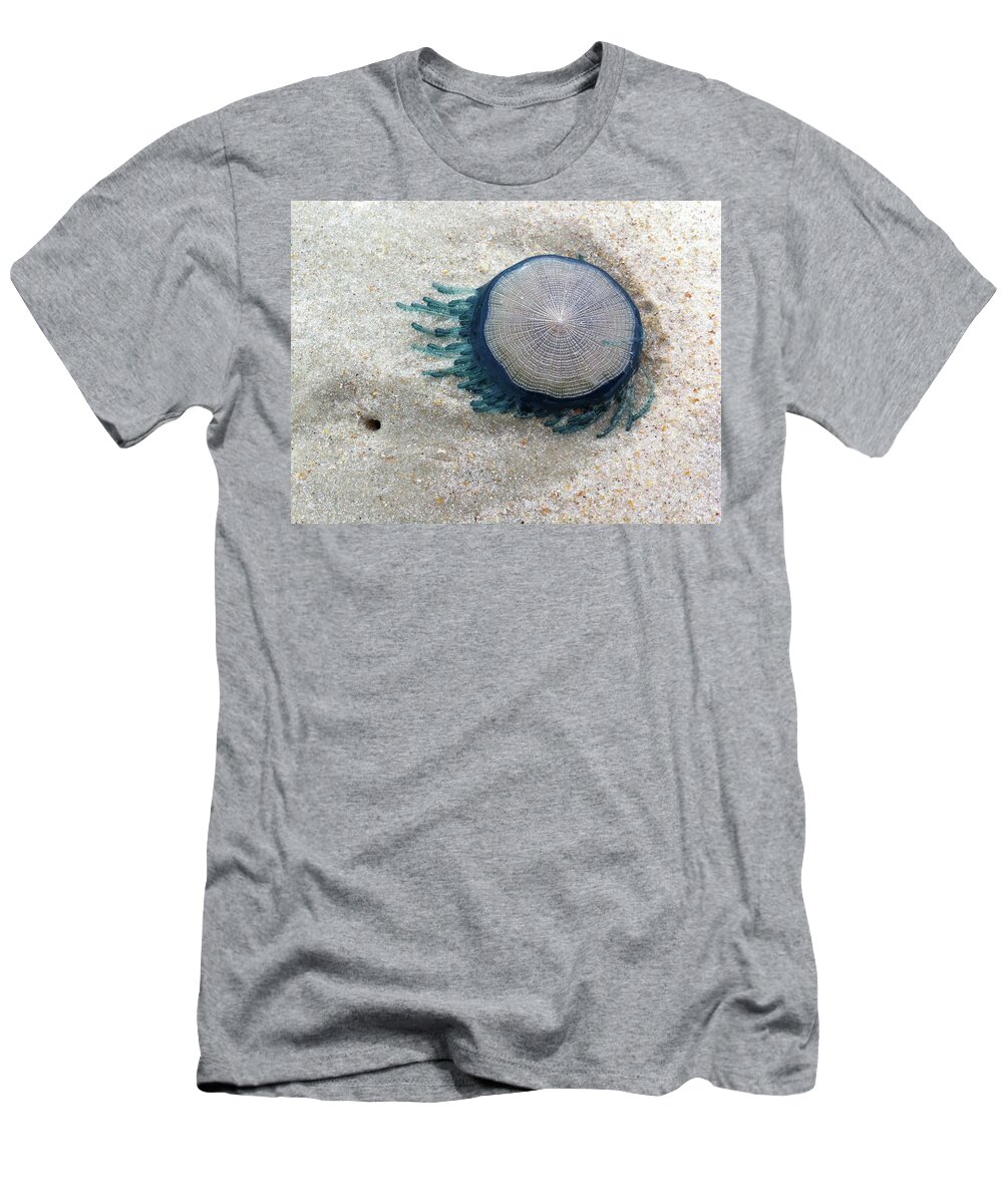 Blue Button T-Shirt featuring the photograph Blue Button #2 by Paul Rebmann