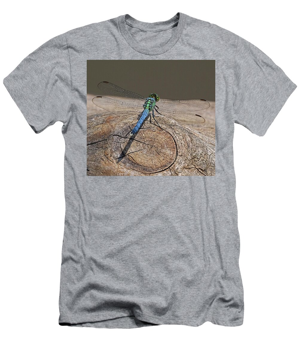 Dragonfly T-Shirt featuring the photograph Blue Dragonfly on log by Ronda Ryan