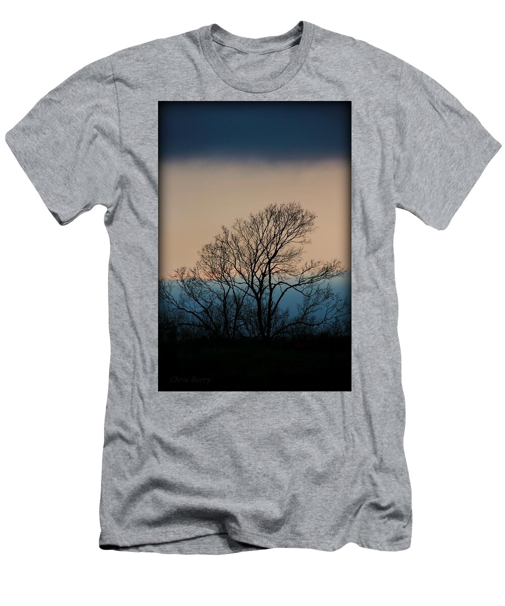 Home T-Shirt featuring the photograph Blue Dusk by Chris Berry