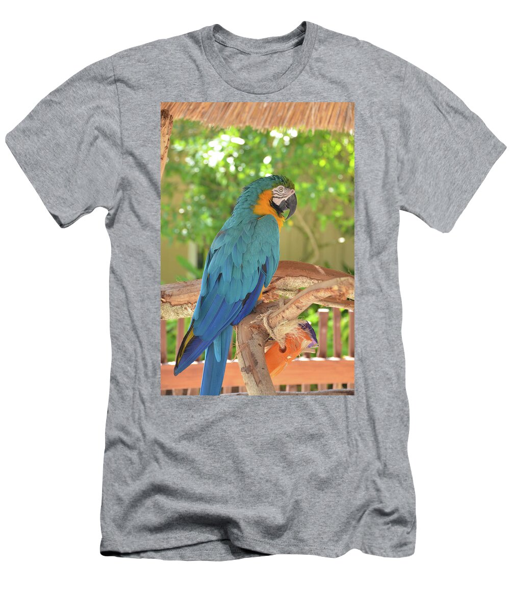Parrot T-Shirt featuring the photograph Blue Parrot with a Toy by Artful Imagery