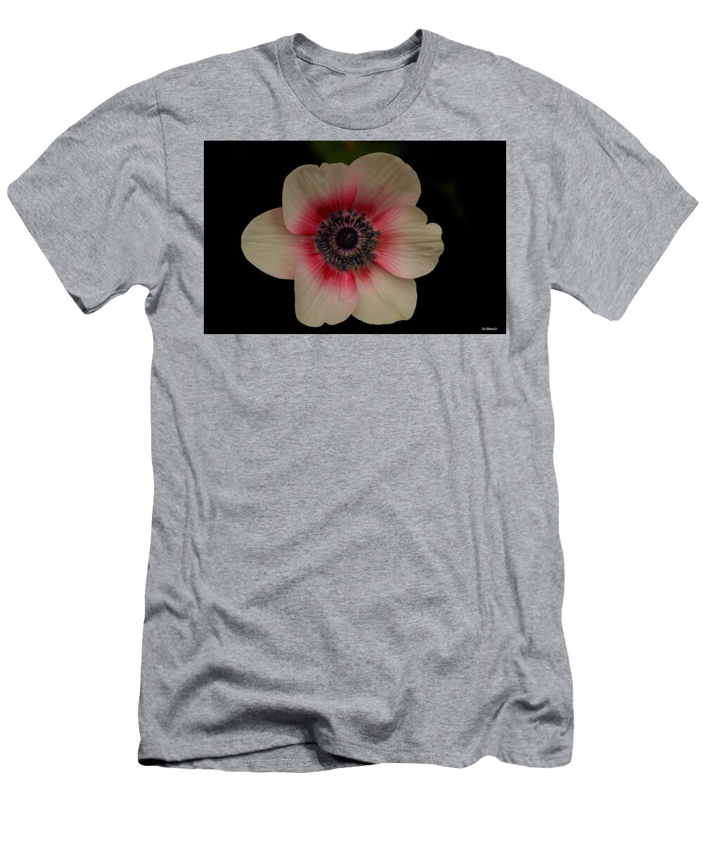 Anemone T-Shirt featuring the photograph Blushing by Uri Baruch