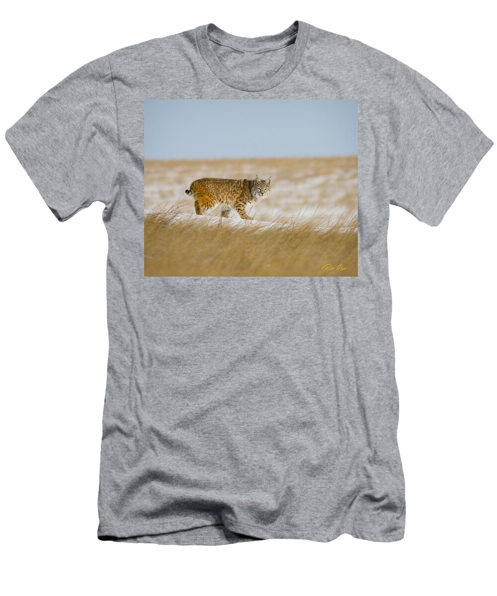 Animals T-Shirt featuring the photograph Bobcat in Sunlight by Rikk Flohr
