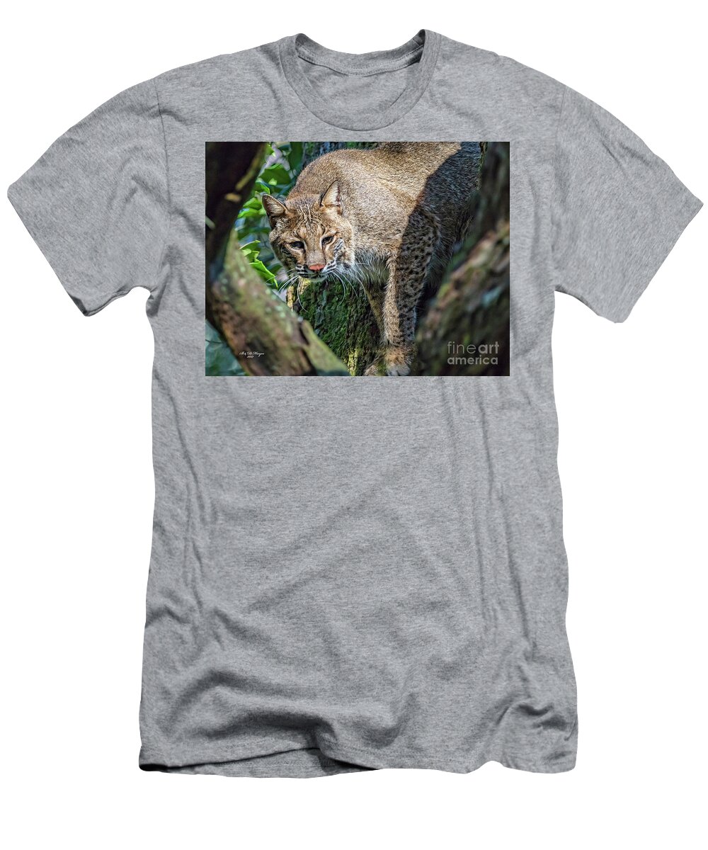 Nature T-Shirt featuring the photograph Bobcat On The Prowl by DB Hayes